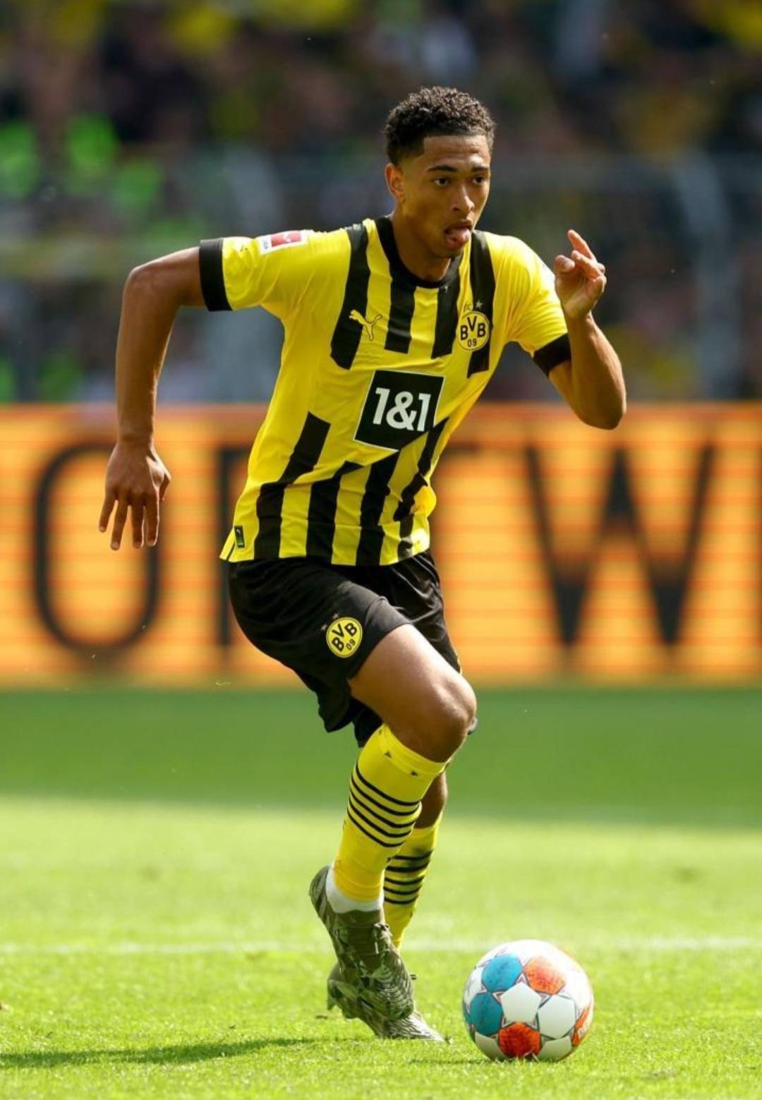 从而释放持 从而释放持